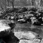 Fishing, The Strid